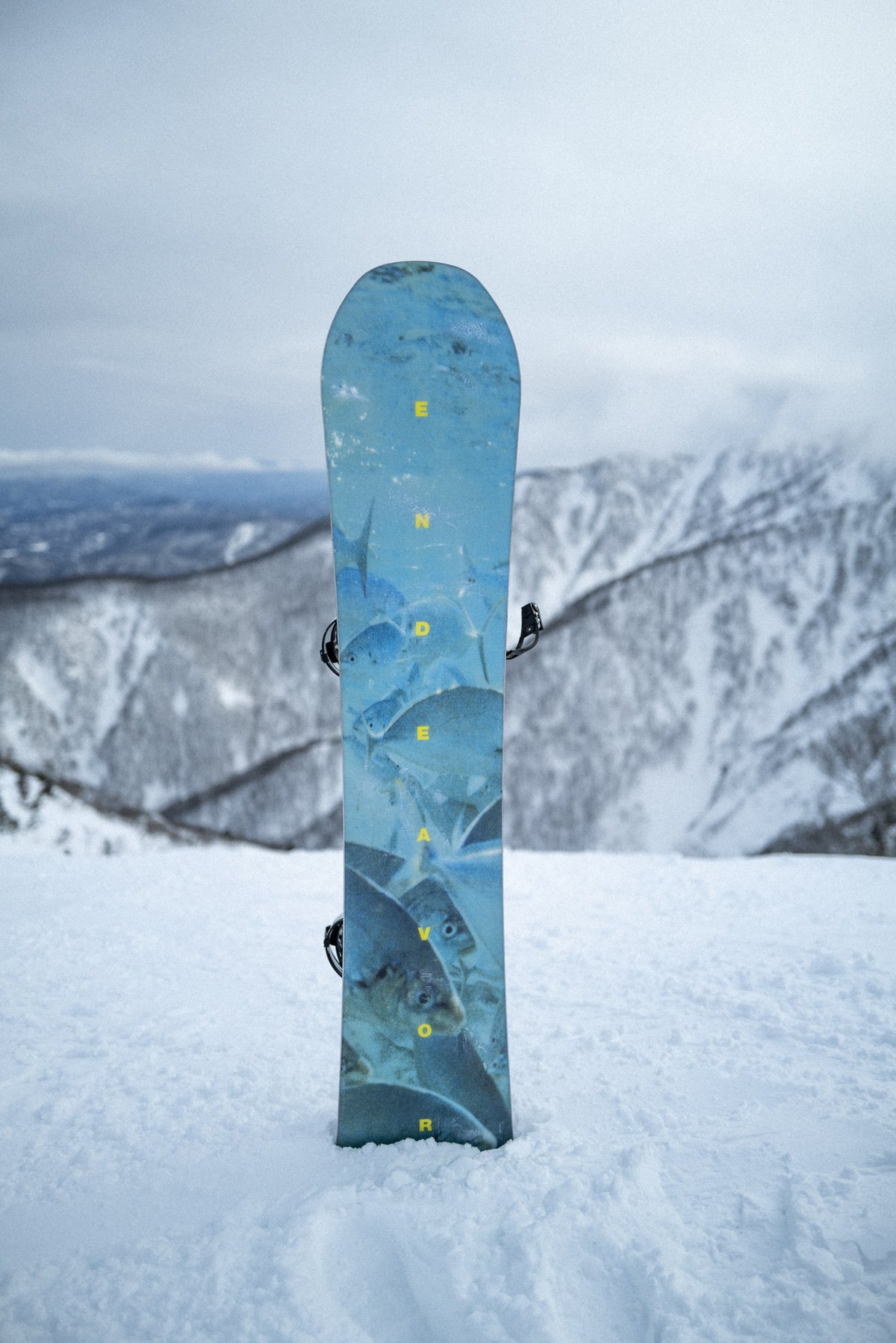 Endeavor Maverick snowboard standing in the snow