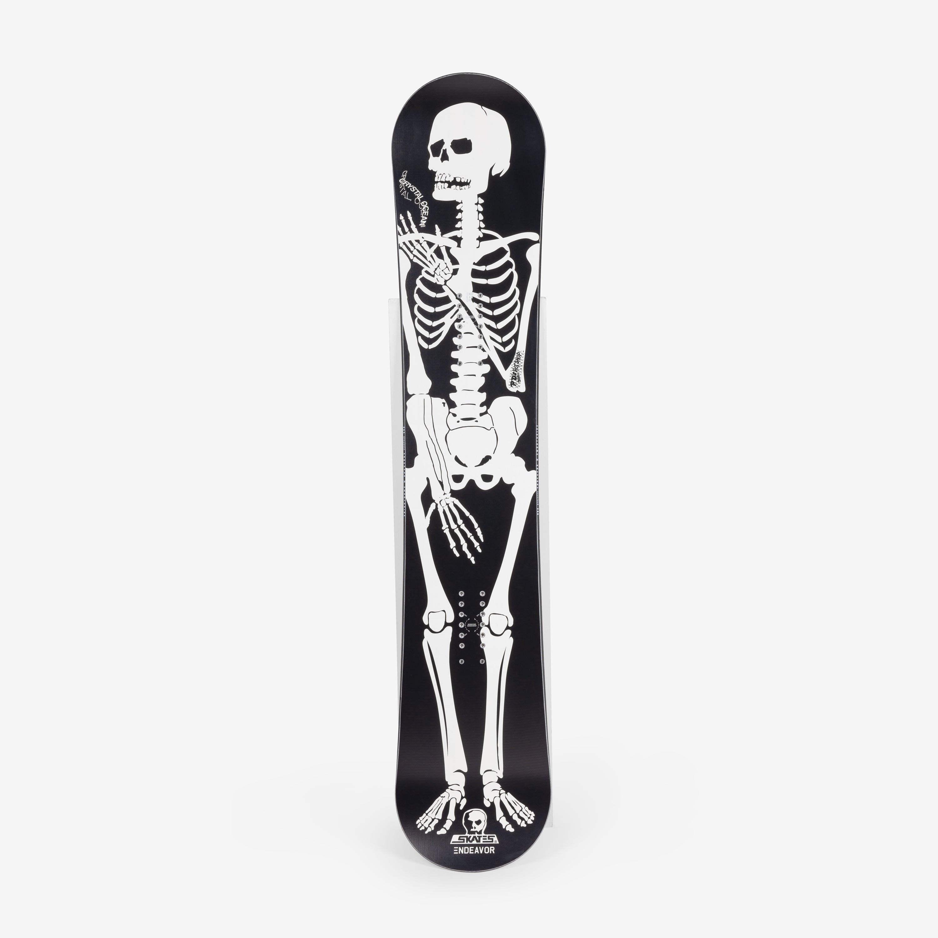Endeavor Skull Skates Snowboard