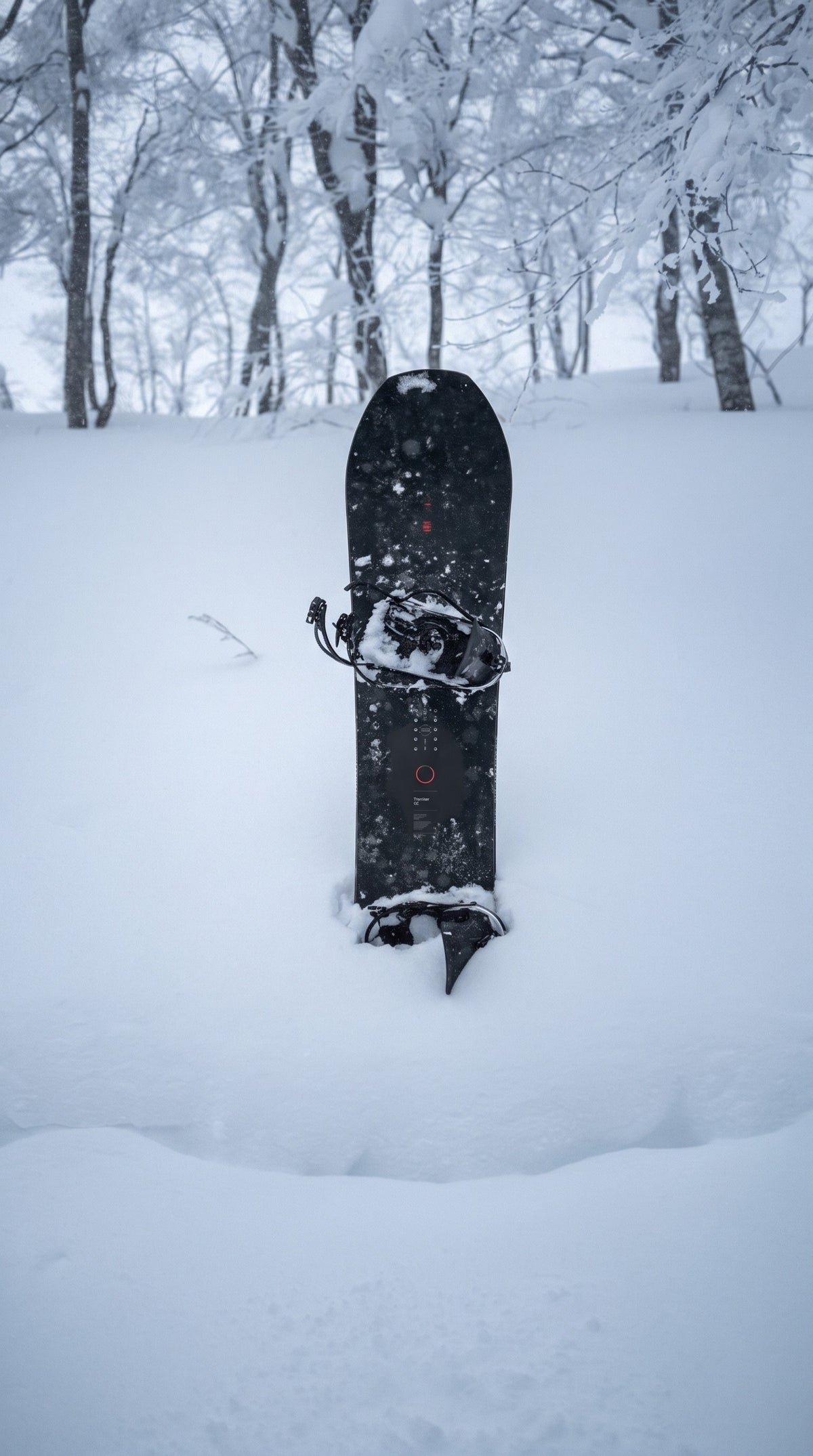 Endeavor Trooper Pro standing in deep powder in a snowy forest