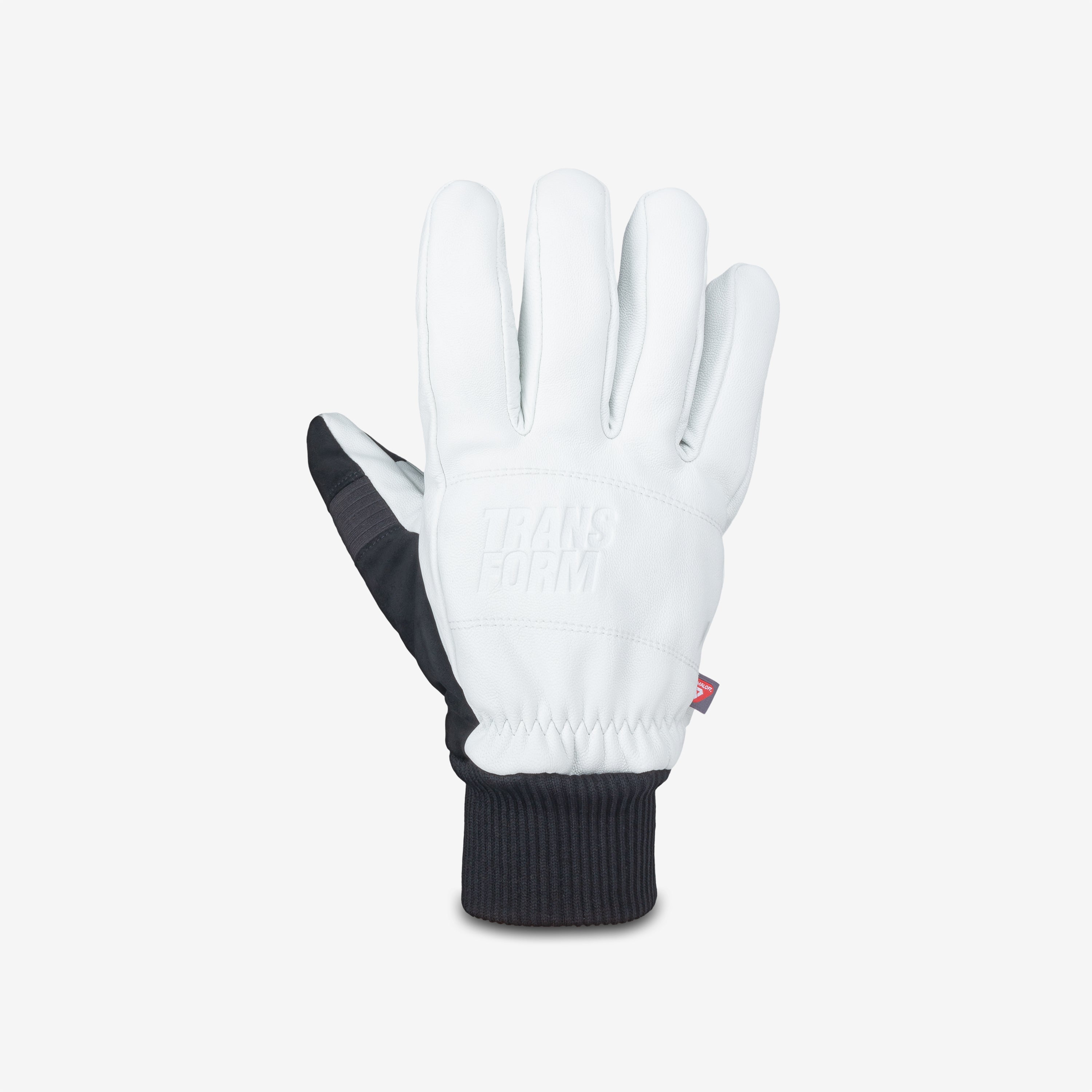 Transform Photo Incentive Glove