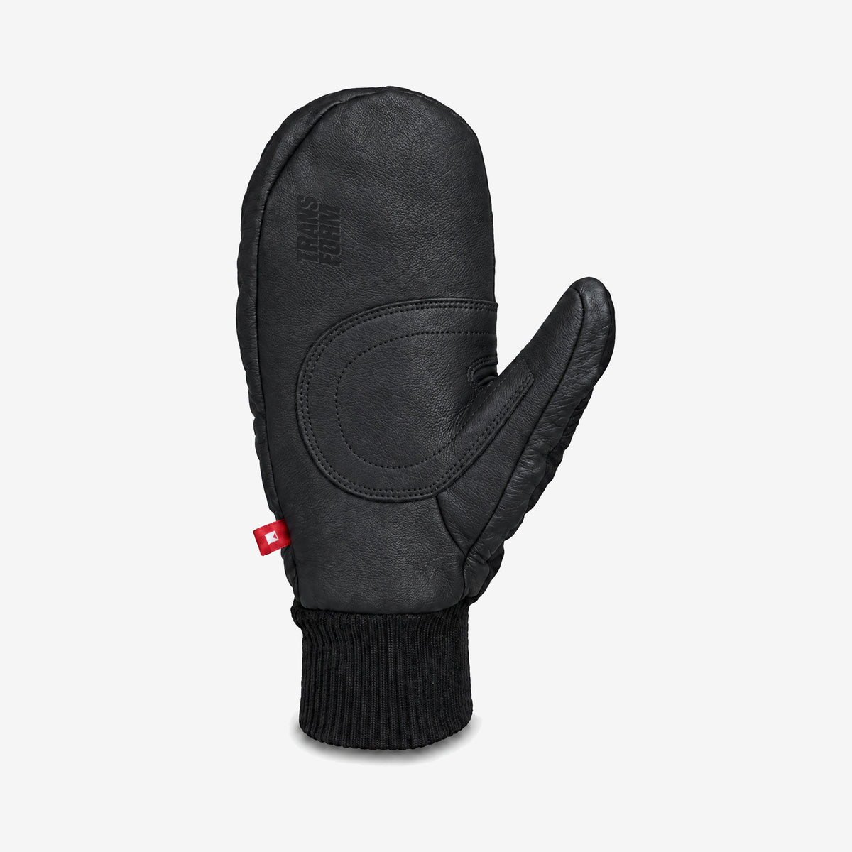 Transform Photo Incentive Mitt – Black – palm