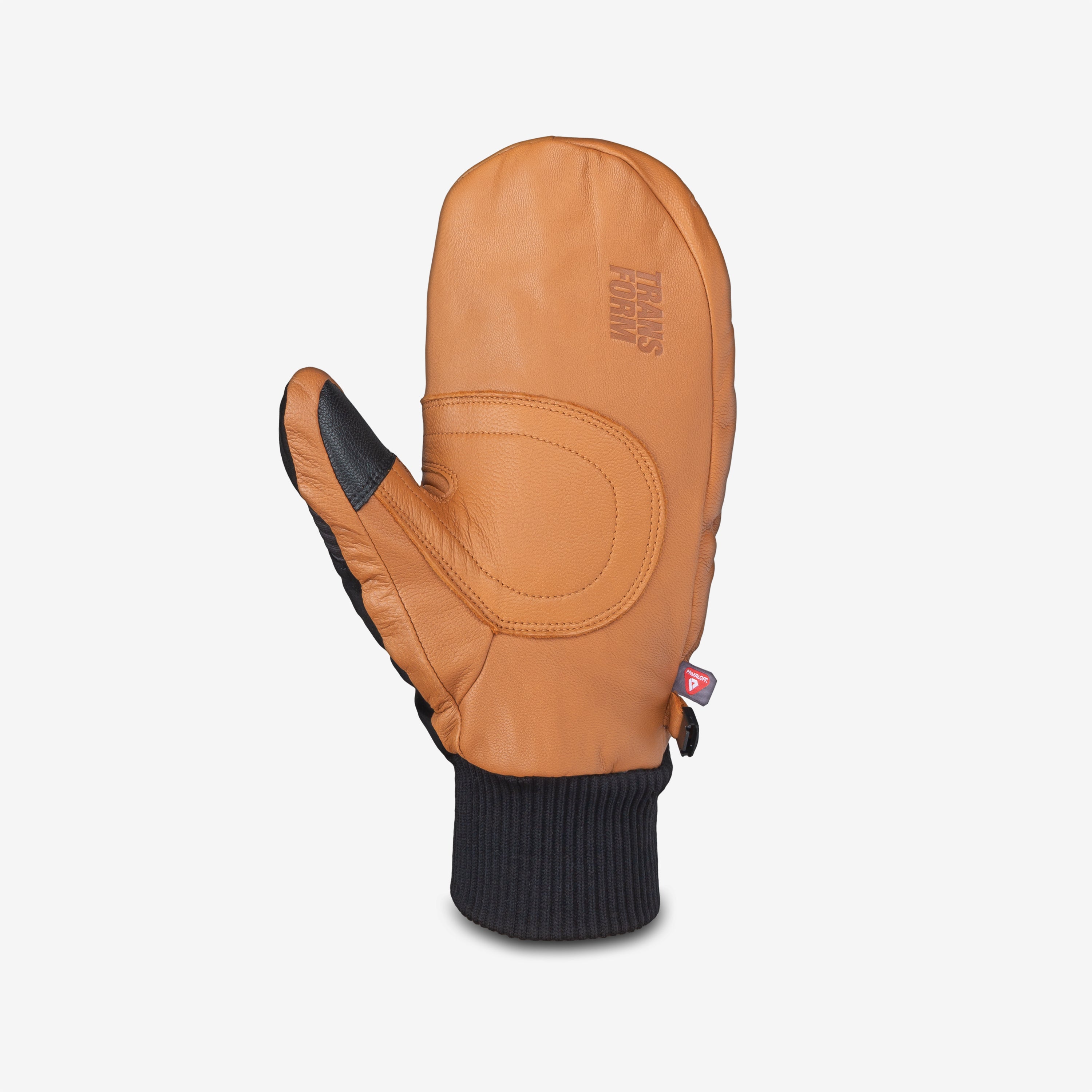 Transform Photo Incentive Mitt