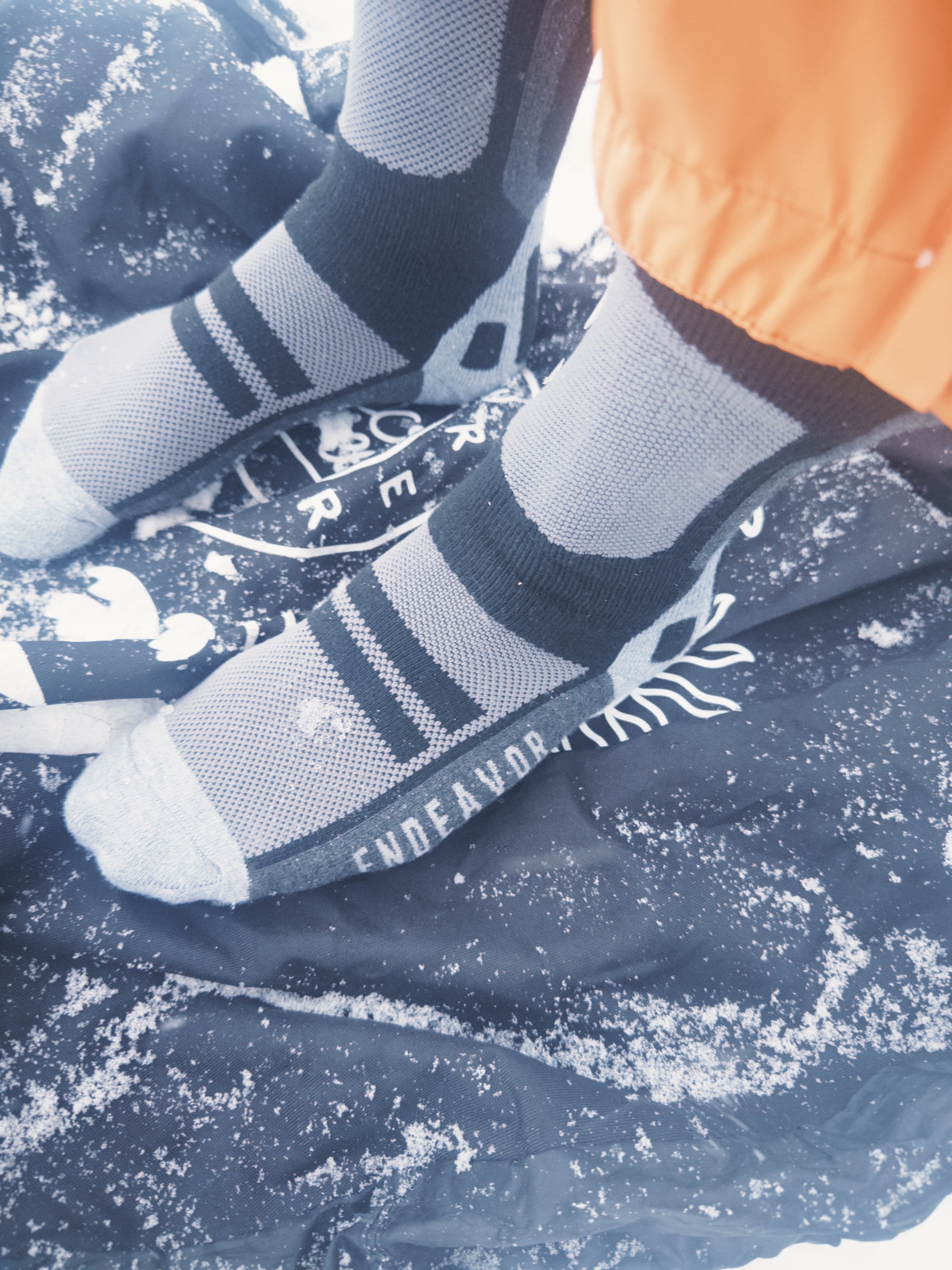 Endeavor Surplus Sock