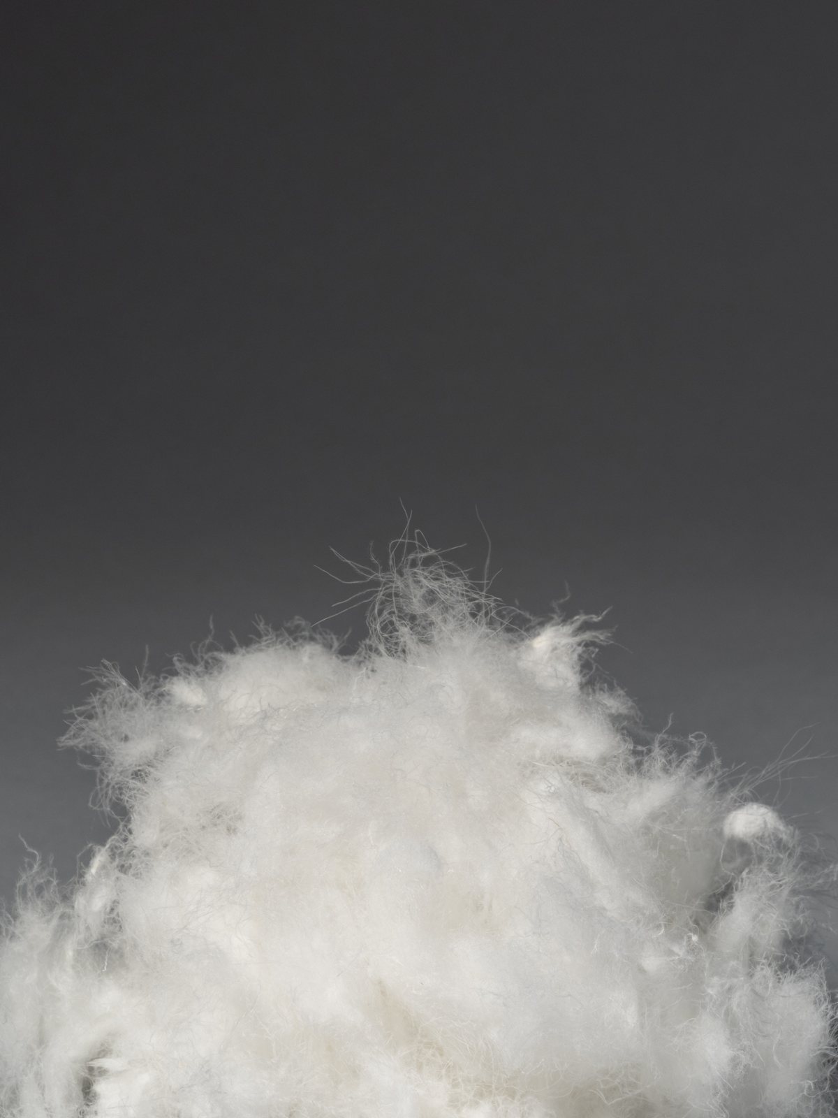 PrimaLoft Gold Down Blend fill