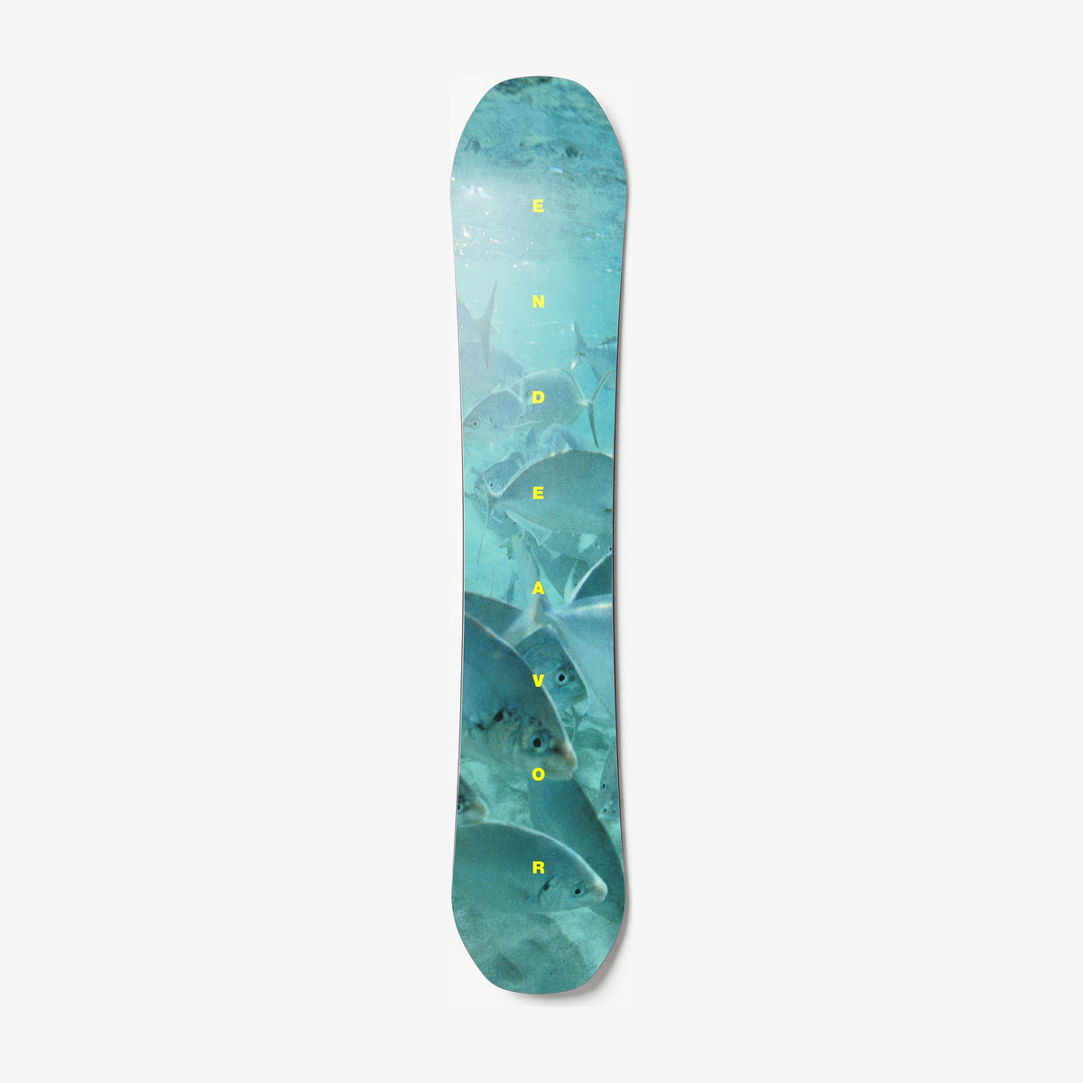 Endeavor Maverick snowboard, base: turquoise fish photograph with yellow ENDEAVOR letters down the centre