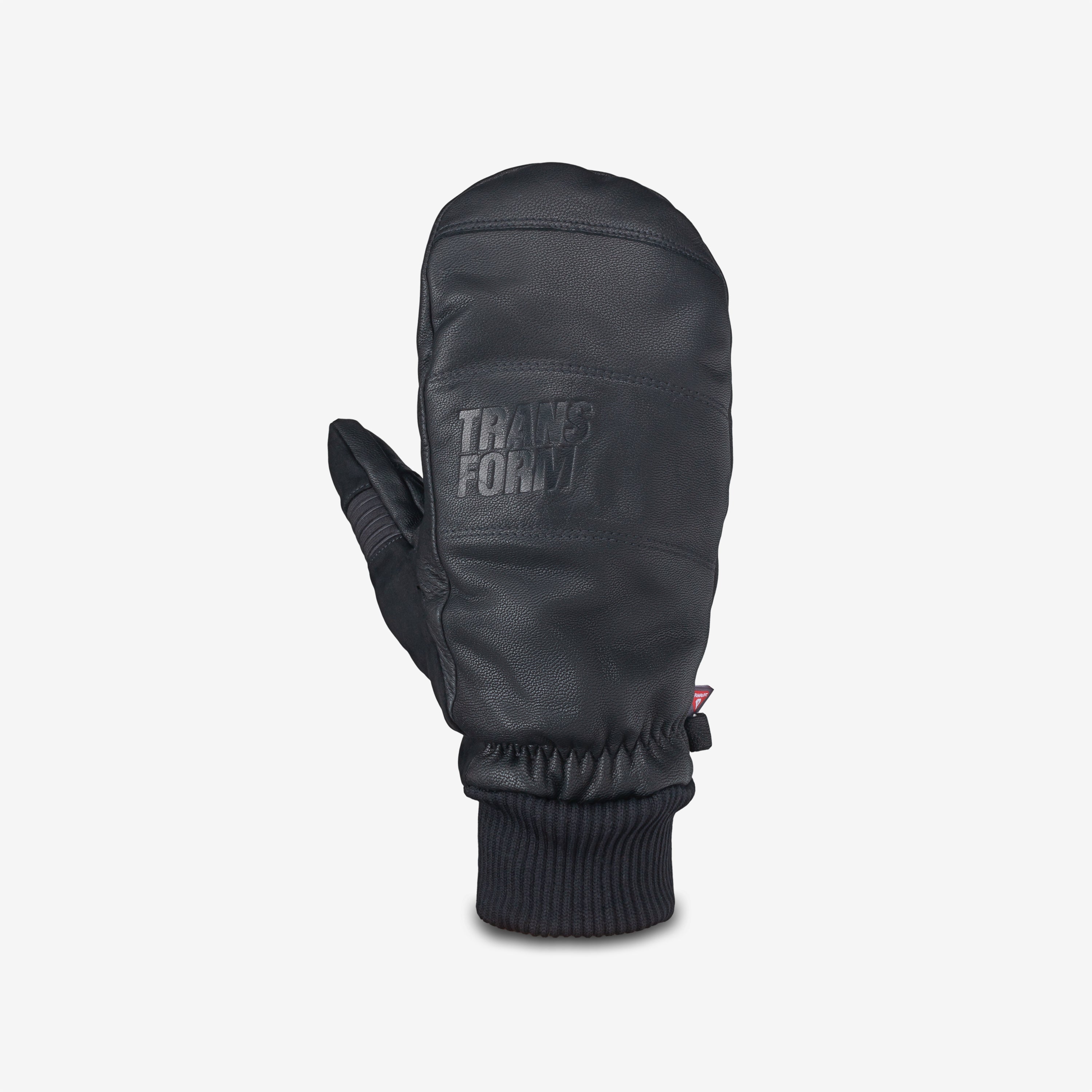 Transform Photo Incentive Mitt