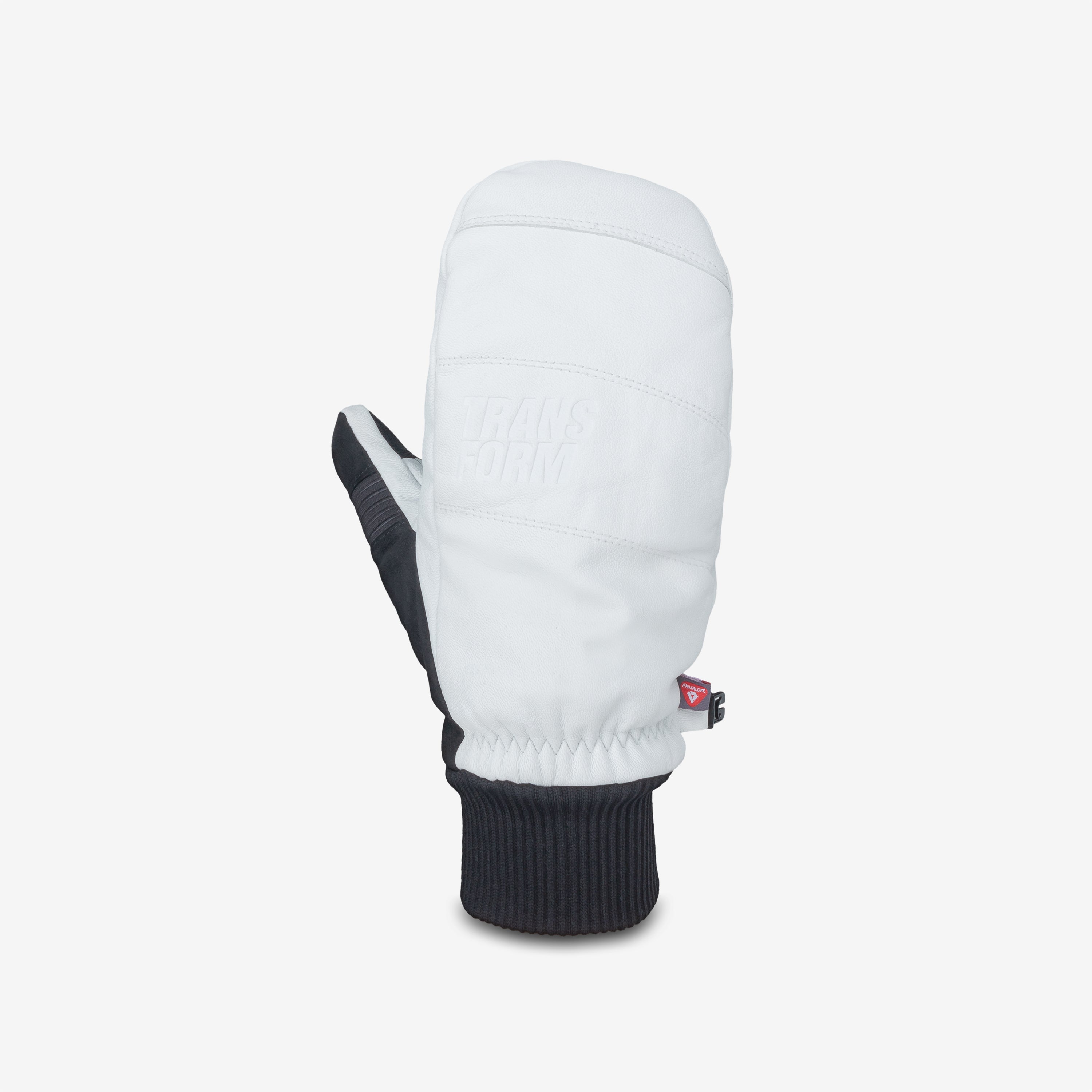 Transform Photo Incentive Mitt