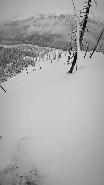 Powder riding on the Endeavor Free Ranger Pro