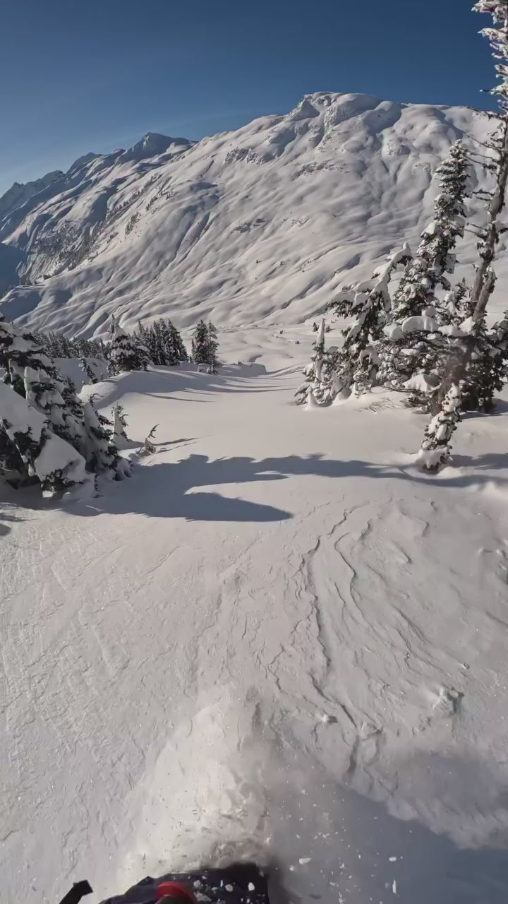 Endeavor Scout Pro video